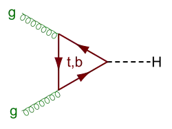 Gluon fusion