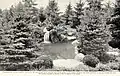 Rock garden pond of David Hill at D.&nbsp;Hill Nursery, Dundee, IL, c.1920