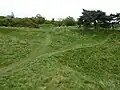 Bradlaugh Fields