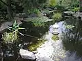 lake in Himeji Garden