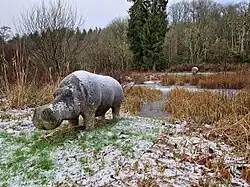 "Hippos" by Stanley Bonnar
