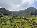Rice terraces in Hirado in the area of the UNESCO World Heritage Site (Hidden Christian Sites in the Nagasaki Region - Kasuga Village and Sacred Places in Hirado)