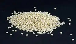 Millet grains