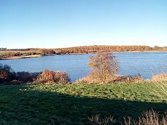 The lake