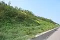 Holland-on-Sea Cliff