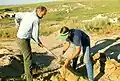 Holman Dig 02