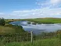 Cowpen Marsh at Seal Sands