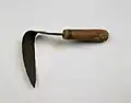 Nat-hyeong (sickle-type) homi