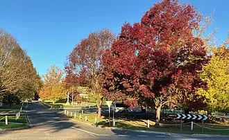 Houghton Village Square