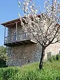 Traditional house