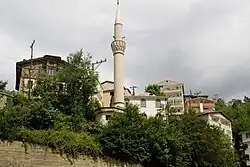 Houses and a mosque in Çaykara