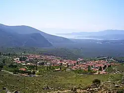 Chrisso overlooking the sea of olives, gulf in the background