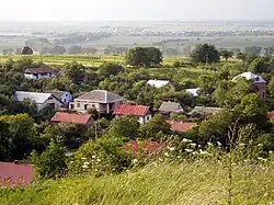 The village of Hryniv, Pustomyty district.