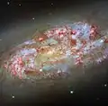 Hubble captures NGC1792 showing intense amounts of H-Alpha emission in red caused by a UV emitting swarm of new stars. NGC1792 is a spiral starburst galaxy.[16]