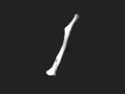 3D image