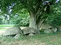 Dolmen D42