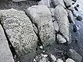 Hungersteine in Laubegast