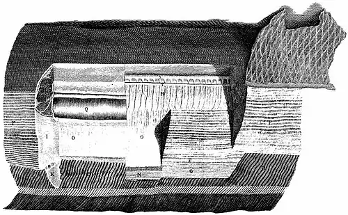 Engraving of dissected part of an electric eel