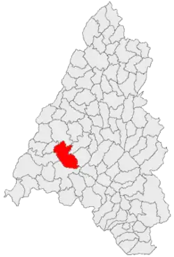Location in Bihor County