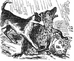 Illustration from Fraser's magazine showing an artist's impression of a "stag-hound" biting a spotted hyena attacking its master