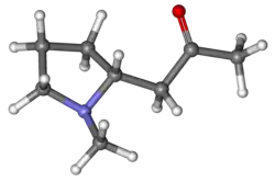Ball-and-stick model of hygrine molecule