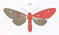 alt=Refer to caption