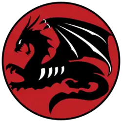 Last badge of 115 Squadron "Flying Dragon"