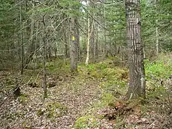 Northern landscape in Lincoln County's New Wood State Wildlife Area