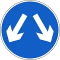 RUS 003 Pass Either Side