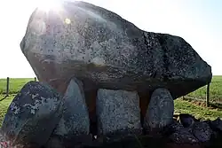 Brownshill Dolmen, Ireland (4th millennium BC). The great capstone weighs about 100 tons.