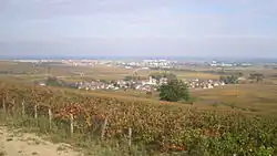 A general view of Pommard