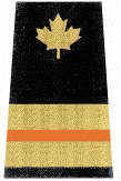 Incident Management and Vessels of Concern, orange