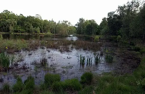 Bluegate Pond