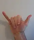 Y