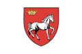 Flag of Iași County