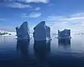 Icebergs in the channel