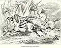 Illustration for Washington Irving's "The Legend of Sleepy Hollow"