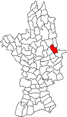 Location in Olt County