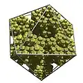 The third iteration of the icosahedron fractal flake.