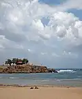Iguana Beach