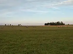 A lush green farmland with rolls of hay dispersed in a recently trimmed field, overcast skies, with sparse trees on the horizon to the left and a distanced small forest with a house nestled in the dense cluster of trees to the right.