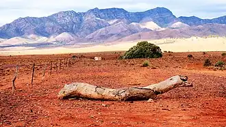 A view of Flinders Ranges