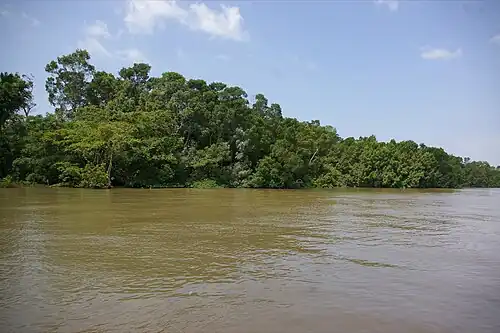 Marajo island