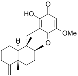 Skeletal formula of ilimaquinone