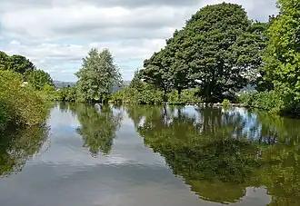 A small lake fringed with trees