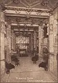 Charles Fitzroy Doll's Imperial Turkish Baths. Tepidarium and plunge pool