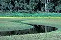 Wetlands
