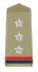 Inspector Rank Insignia Indian police