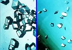 Comparison of insulin crystals growth in outer space (left) and on Earth (right)