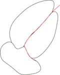 Intergranular crack